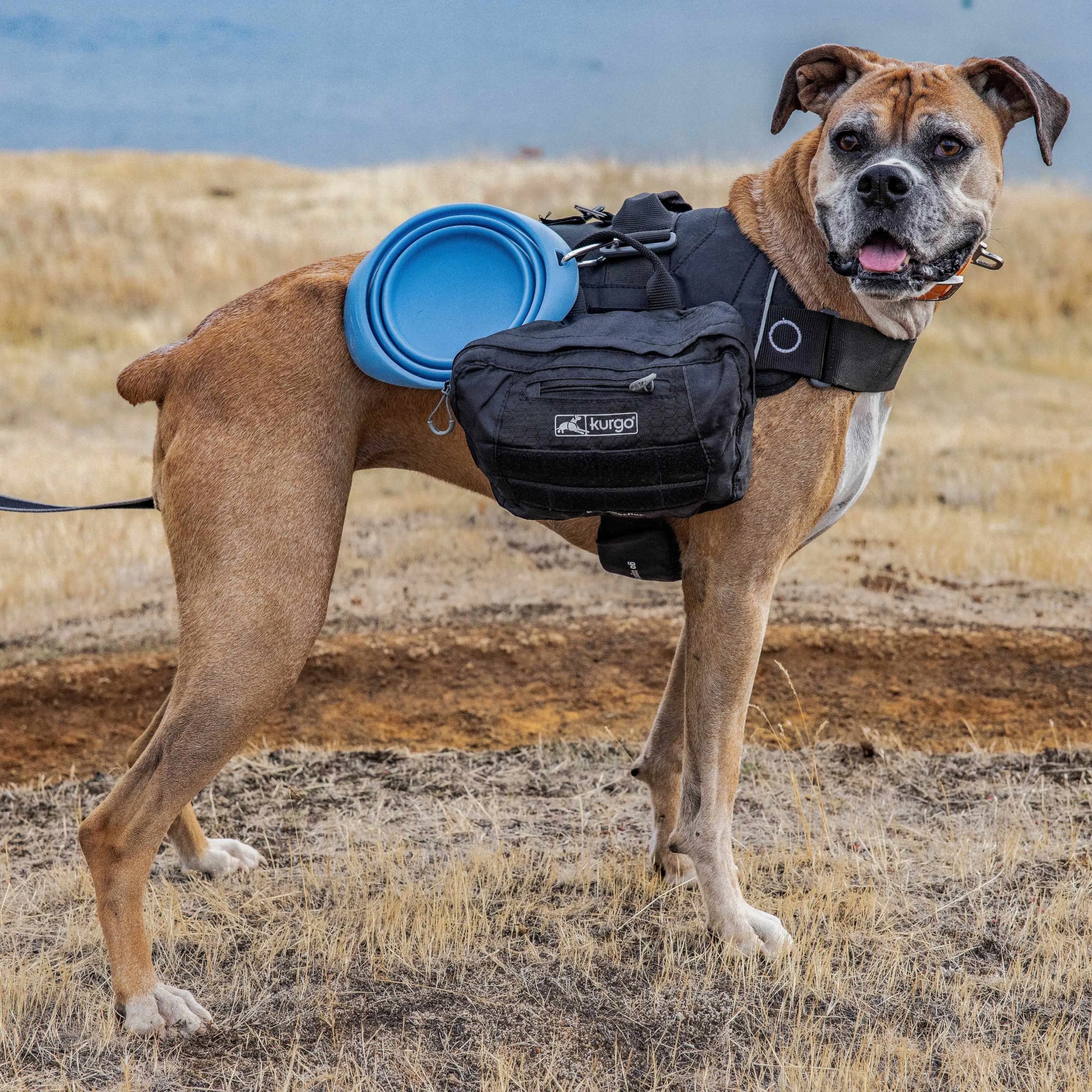 Kurgo Collaps Bowl 710ml - foldable dog bowl, BPA free Blue Material silicone