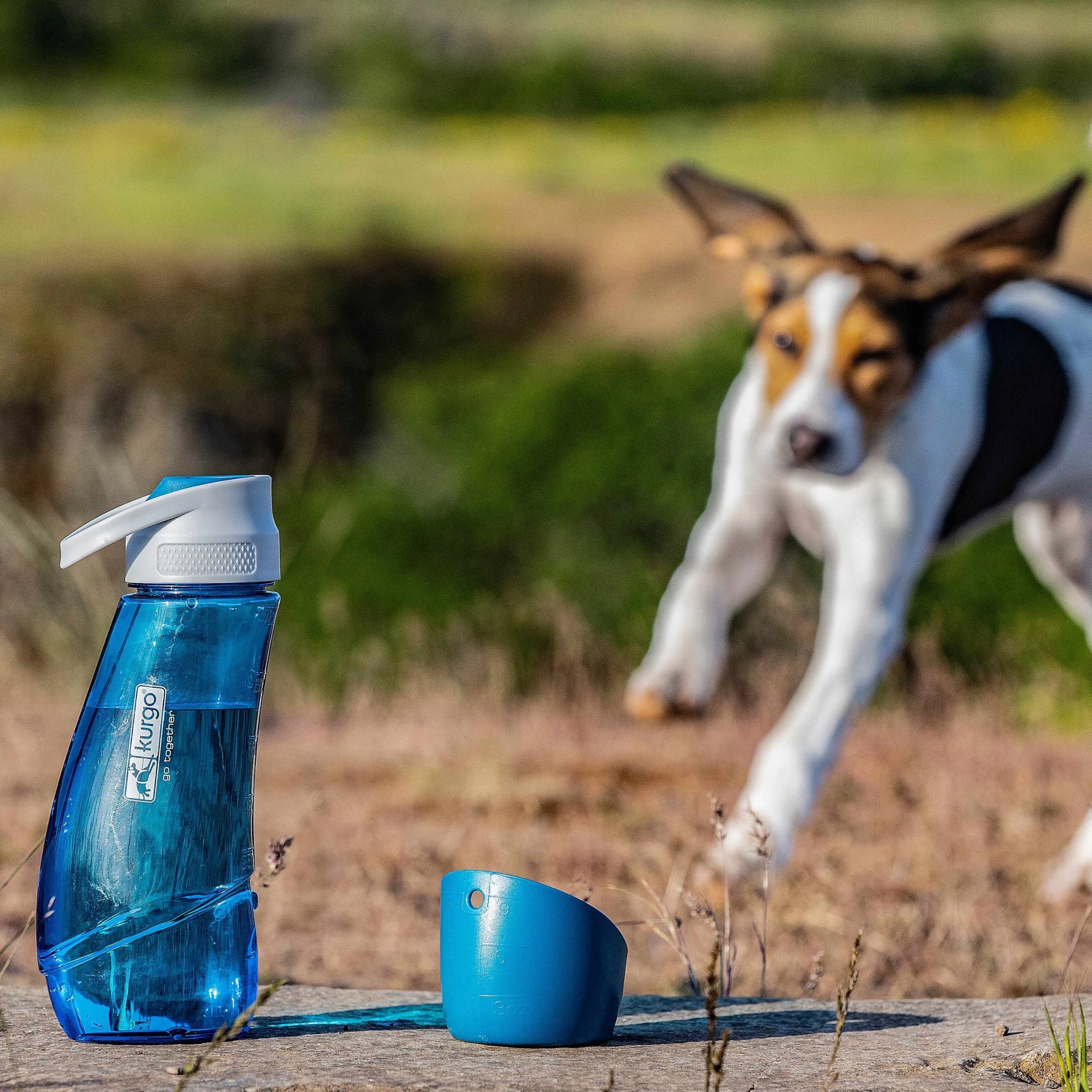 Kurgo Gourd Water Bottle 750ml & Bowl - water bottle with dog bowl, Green Device type collapsible (travel)