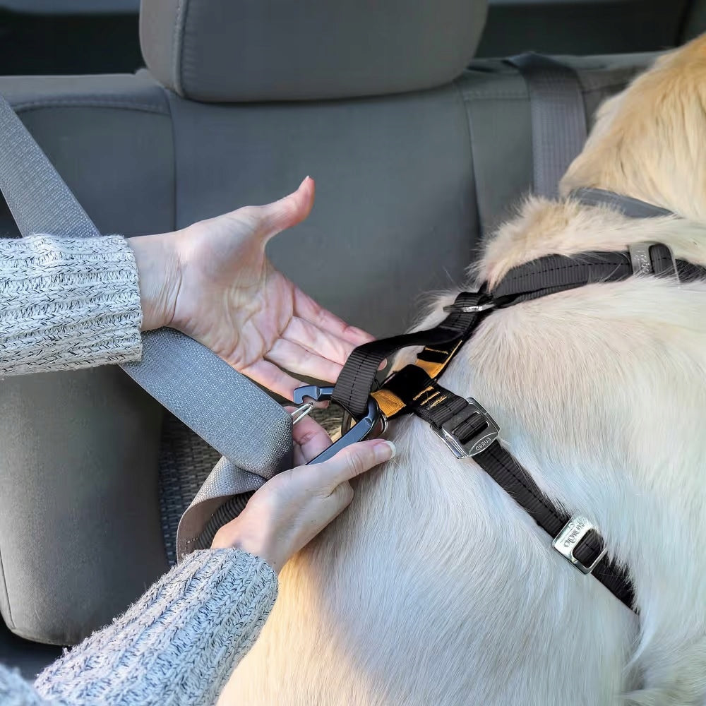 Kurgo Tru-Fit Smart Harness Black - Dog Car Harness, Black - S Kind for car