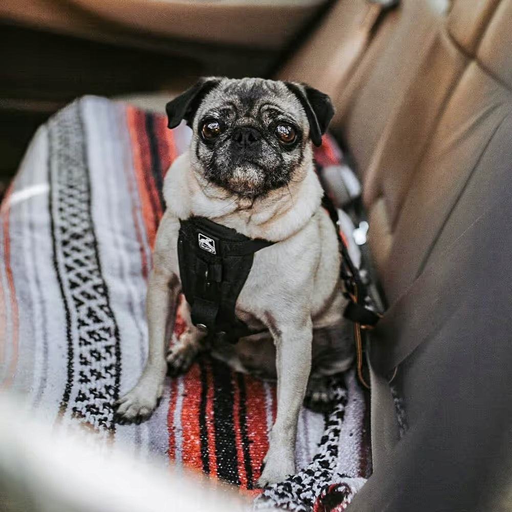 Kurgo Tru-Fit Smart Harness Black - Dog Car Harness, Black - S Manufacturer code PO316666