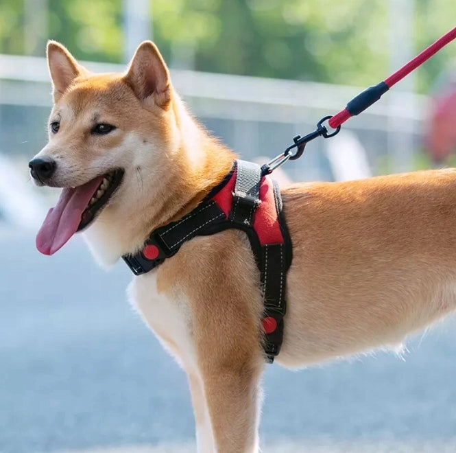 L DOG HARNESS WALKING STRONG PRESSURE-FREE COMFORTABLE HANDLE 64-84cm MIX Brand no brand