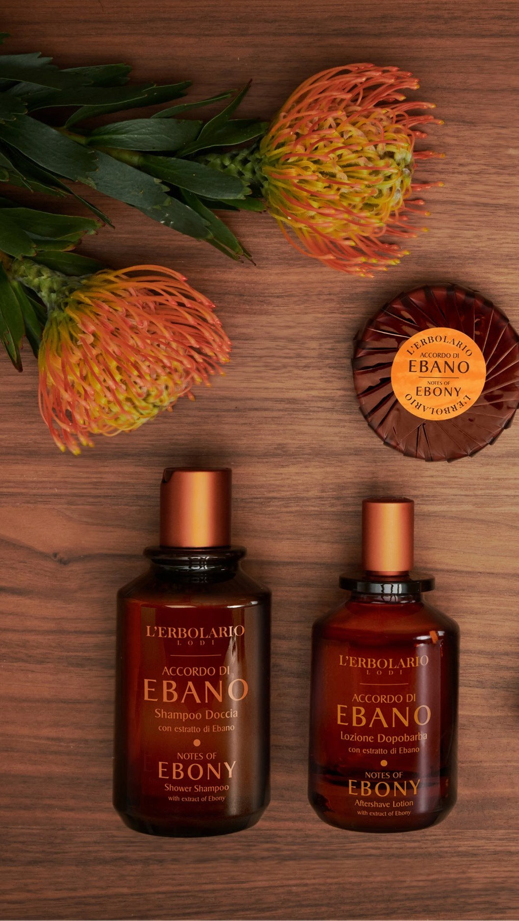 L'Erbolario Accordo di Ebano Eau de Parfum, 100 ml Packaging status original