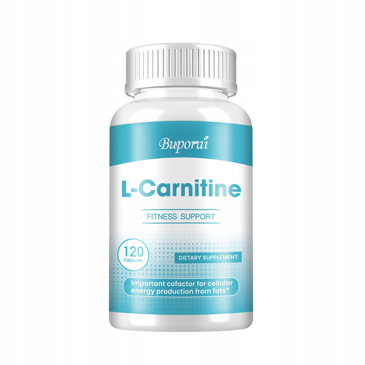L-carnitine - cellular energy production, sports endurance, health...
