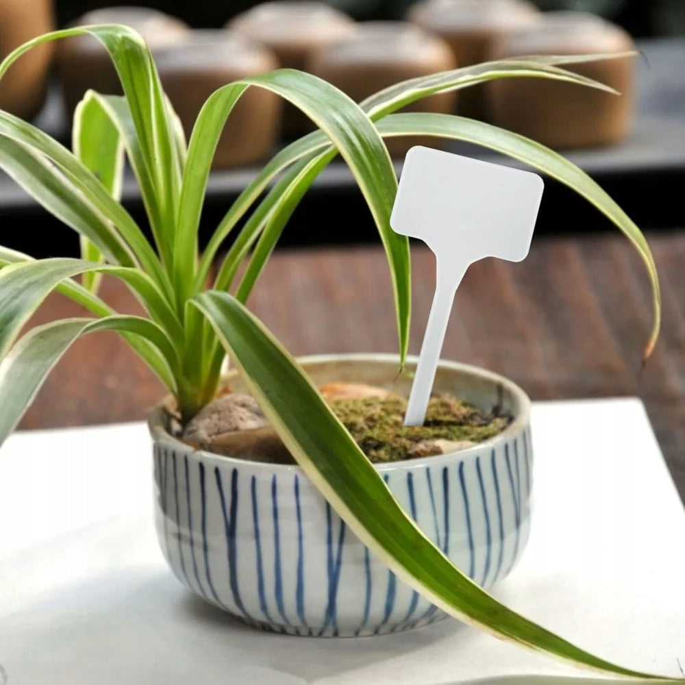 LABEL PLATE MARKERS FOR DESCRIBING PLANTS OF SEEDLINGS 50PCS/SET Product height 14.5 cm