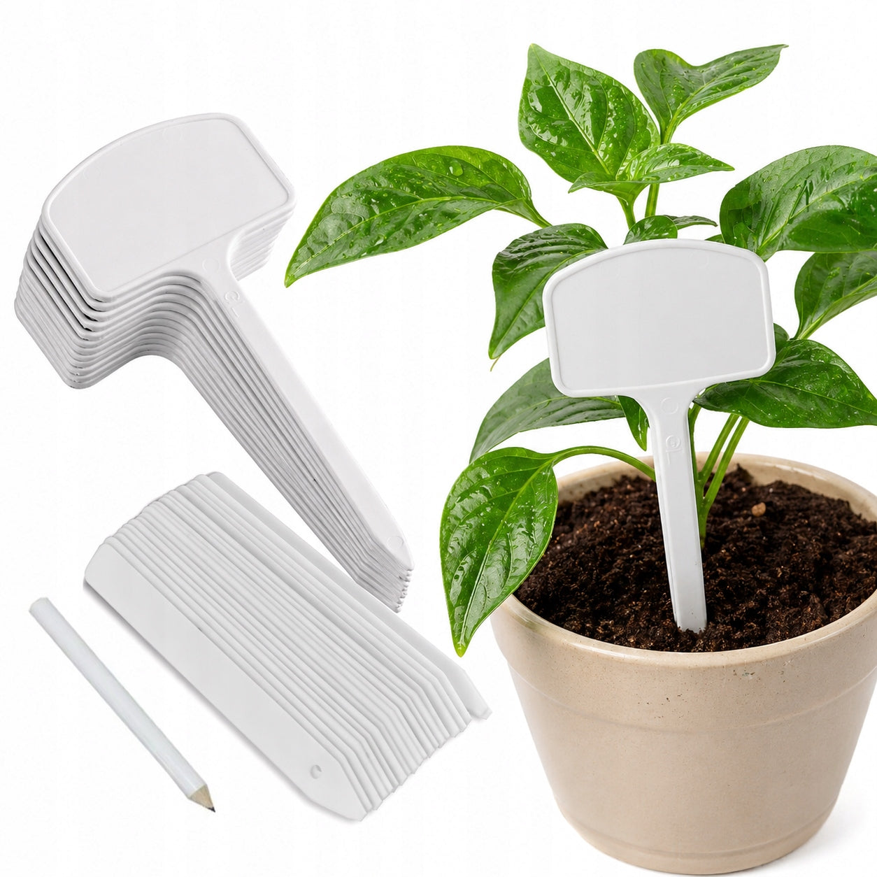 LABEL PLATES FOR DESCRIPTION OF PLANTS FLOWERS HERBS GARDEN 30 pcs WHITE