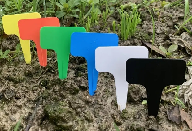 LABELS GARDENING PLATES MARKERS FOR DESCRIPTION OF PLANTS SEEDINGS SEEDS Color multicolor