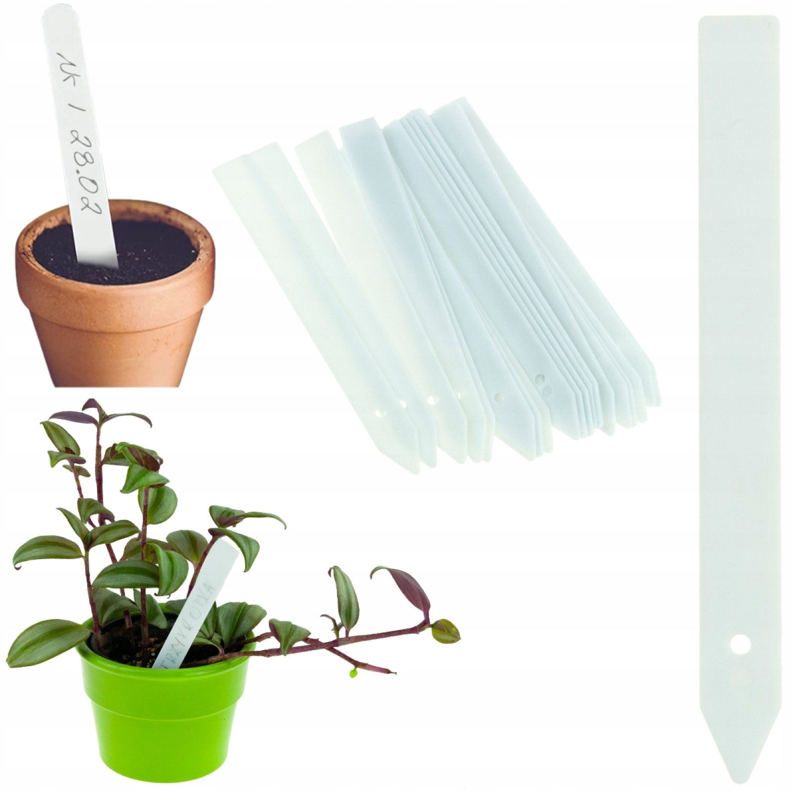LABELS OF PLATES FOR DESCRIBING PLANTS OF SEEDLINGS MARKERS 10PCS/KPL