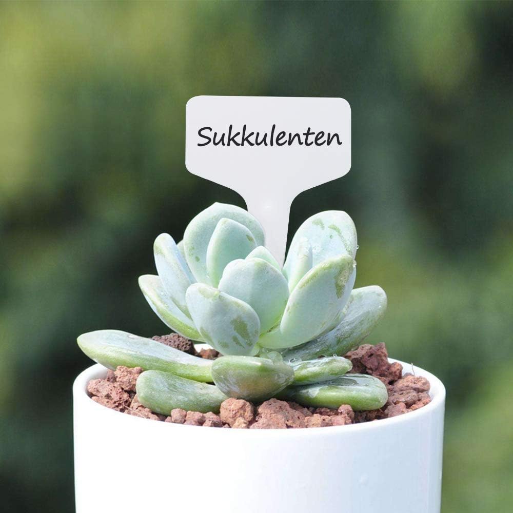LABELS PLATES FOR DESCRIBING PLANTS, GARDEN FOR FLOWERS, MARKER, 50 pcs. Product height 10 cm