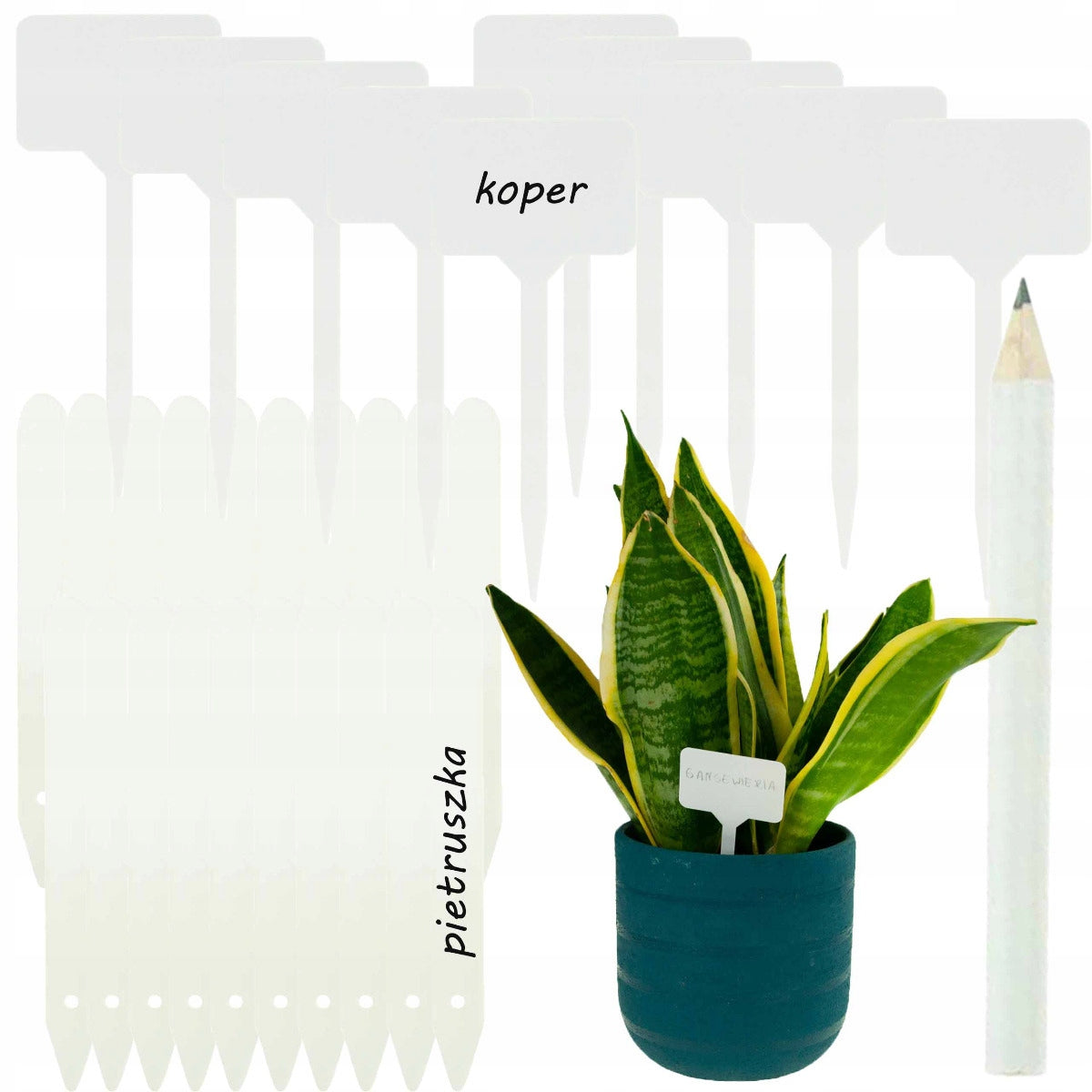 LABELS PLATES FOR DESCRIBING PLANTS SEEDINGS MARKERS 31PCS/SET