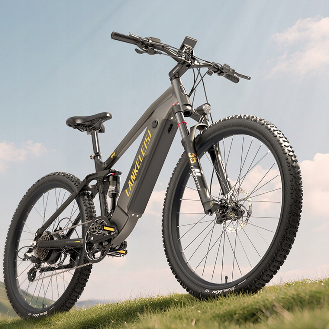 LANKELEISI Electric vehicle RX600PRO Samsung 48V20Ah 1000W Hydraulic Brand Lankeleisi