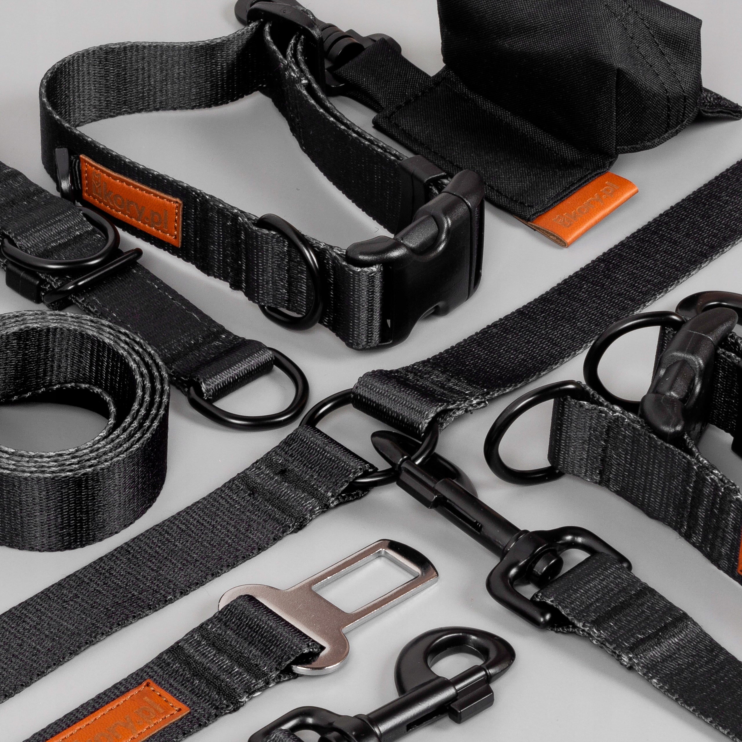 LANYARD 500 cm for dog up to 20 kg spike TAPE 20 mm Ukory BLACK Maximum leash length 5 m
