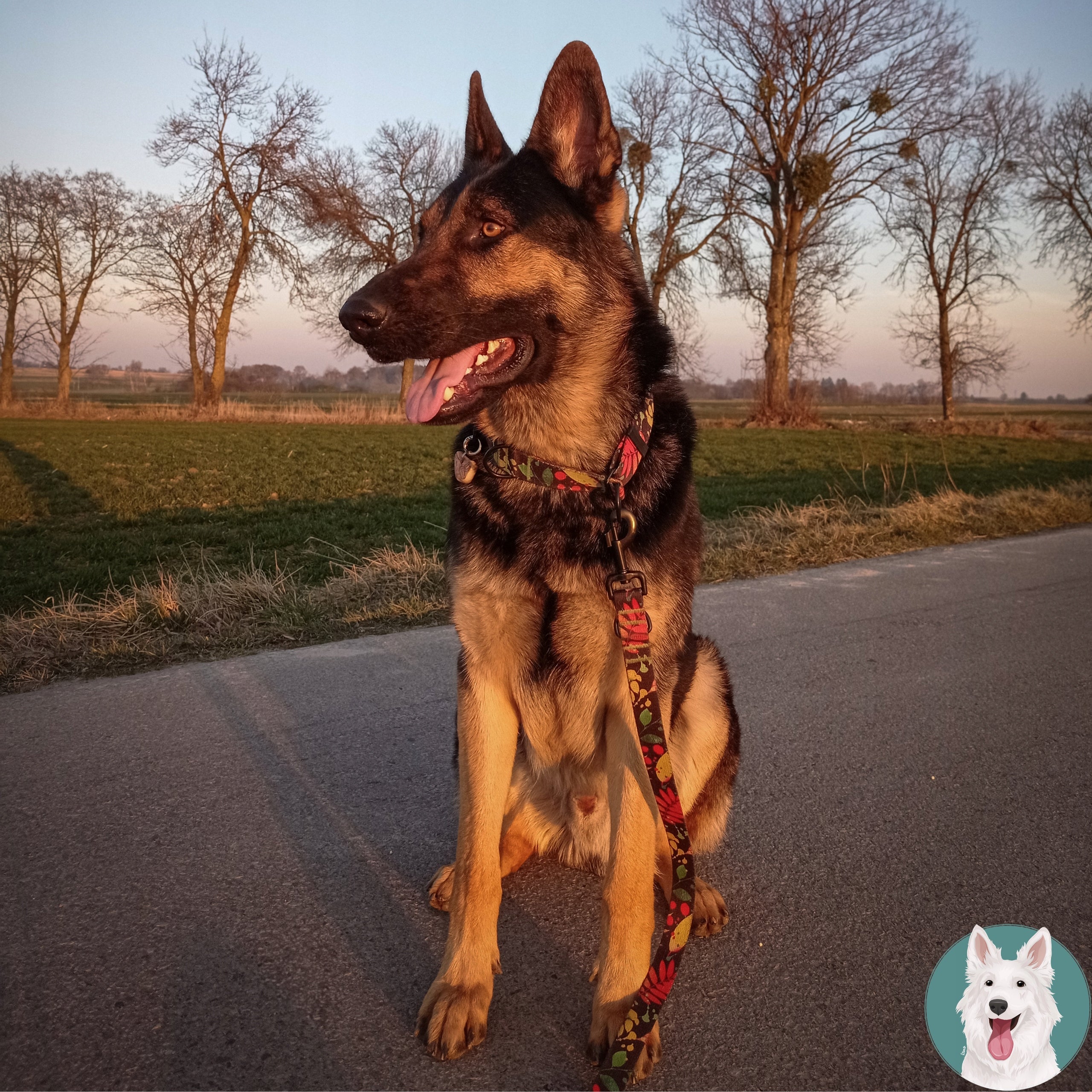 LANYARD ADJUSTABLE 3 meters LARGE DOG Shepherd Ukory BLACK print Kind detachable