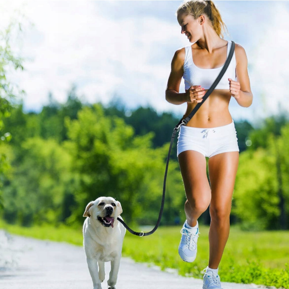 LANYARD ADJUSTABLE FOR DOG WALKING RUNNING 5M DOUBLE STRONG Manufacturer code XJ4612