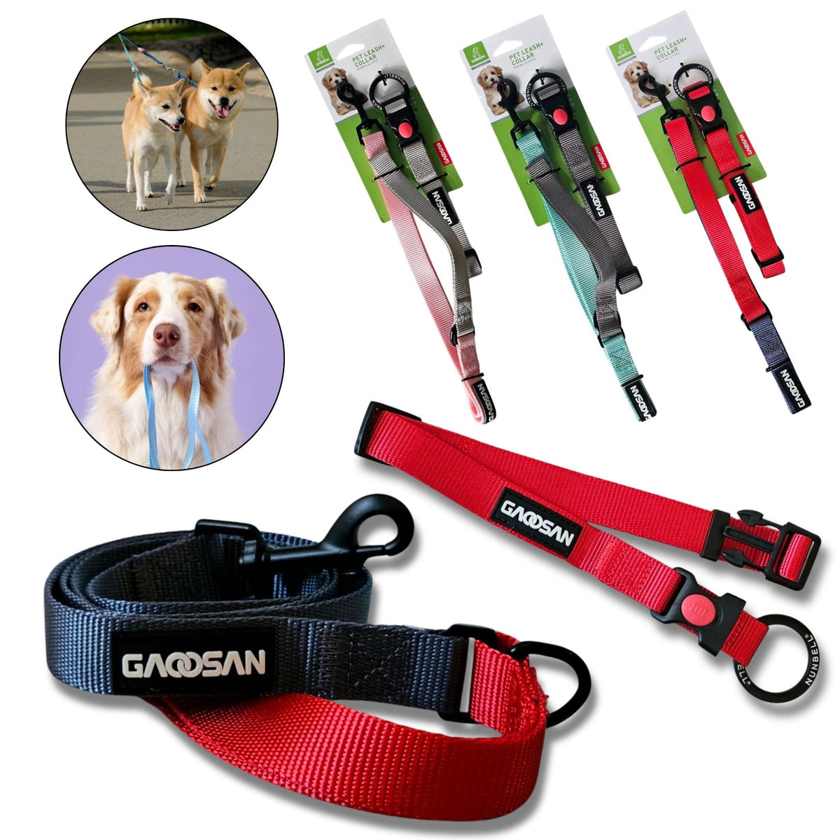 LANYARD + DOG COLLAR SET ADJUSTABLE WITH LOCK Mix Colors