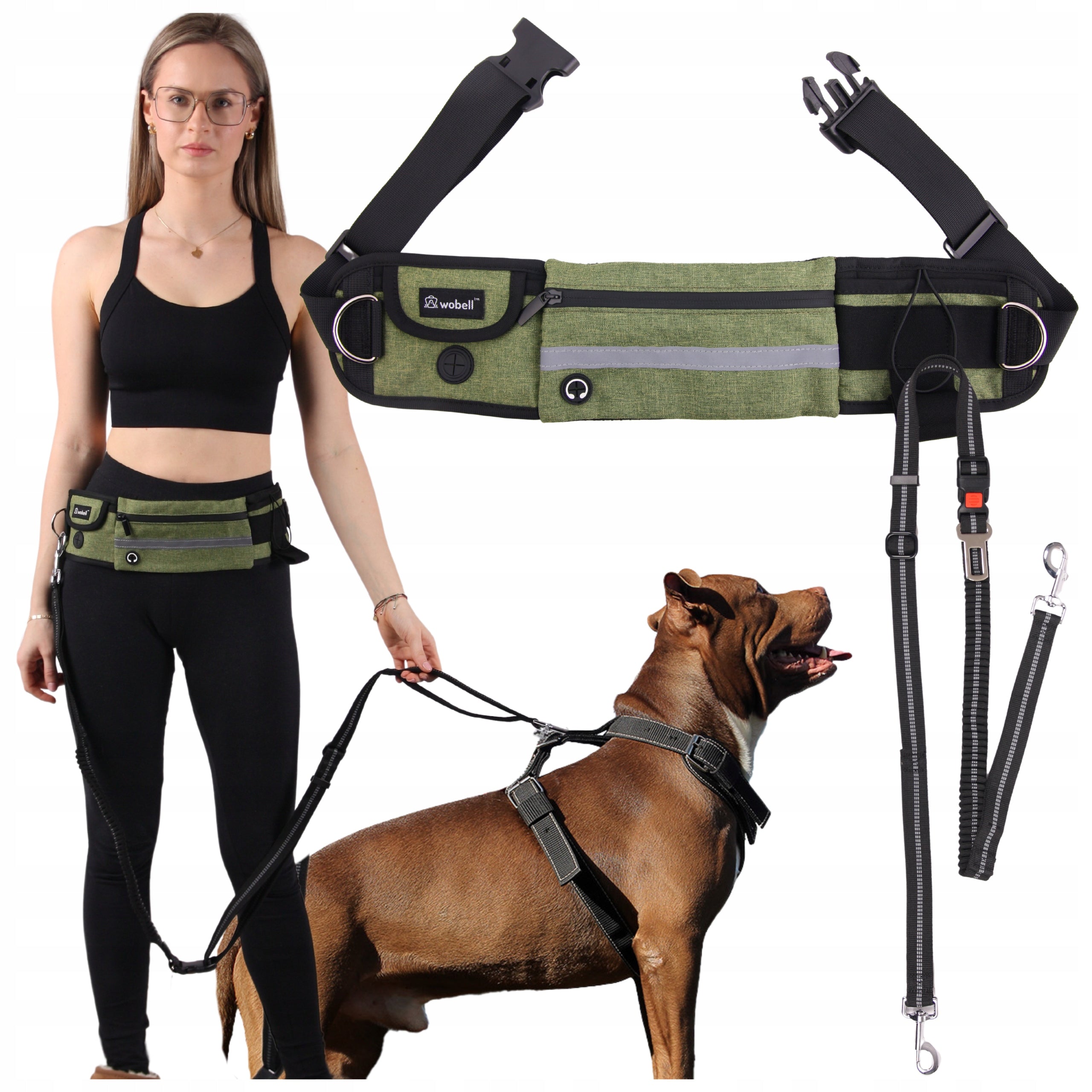 LANYARD HIP BELT KIDNEY for Dog SPORTS ADJUSTABLE SHOCK ABSORBER STRONG 50kg