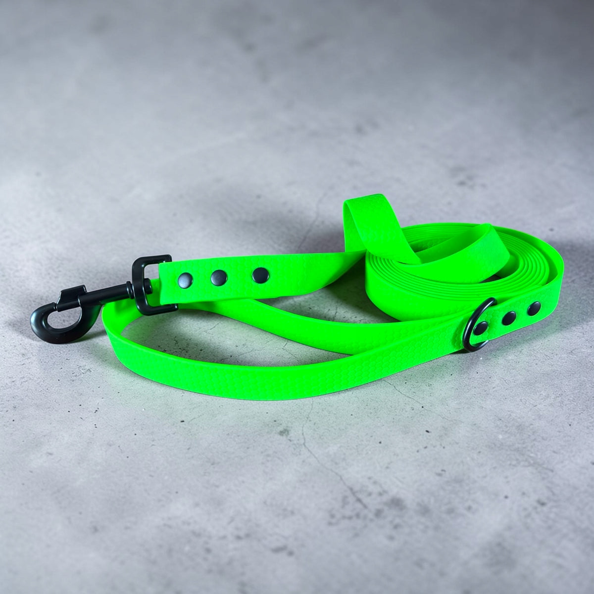 LANYARD WATERPROOF STRONG training rope Biothane PVC 3m 25mm green Packaging status original