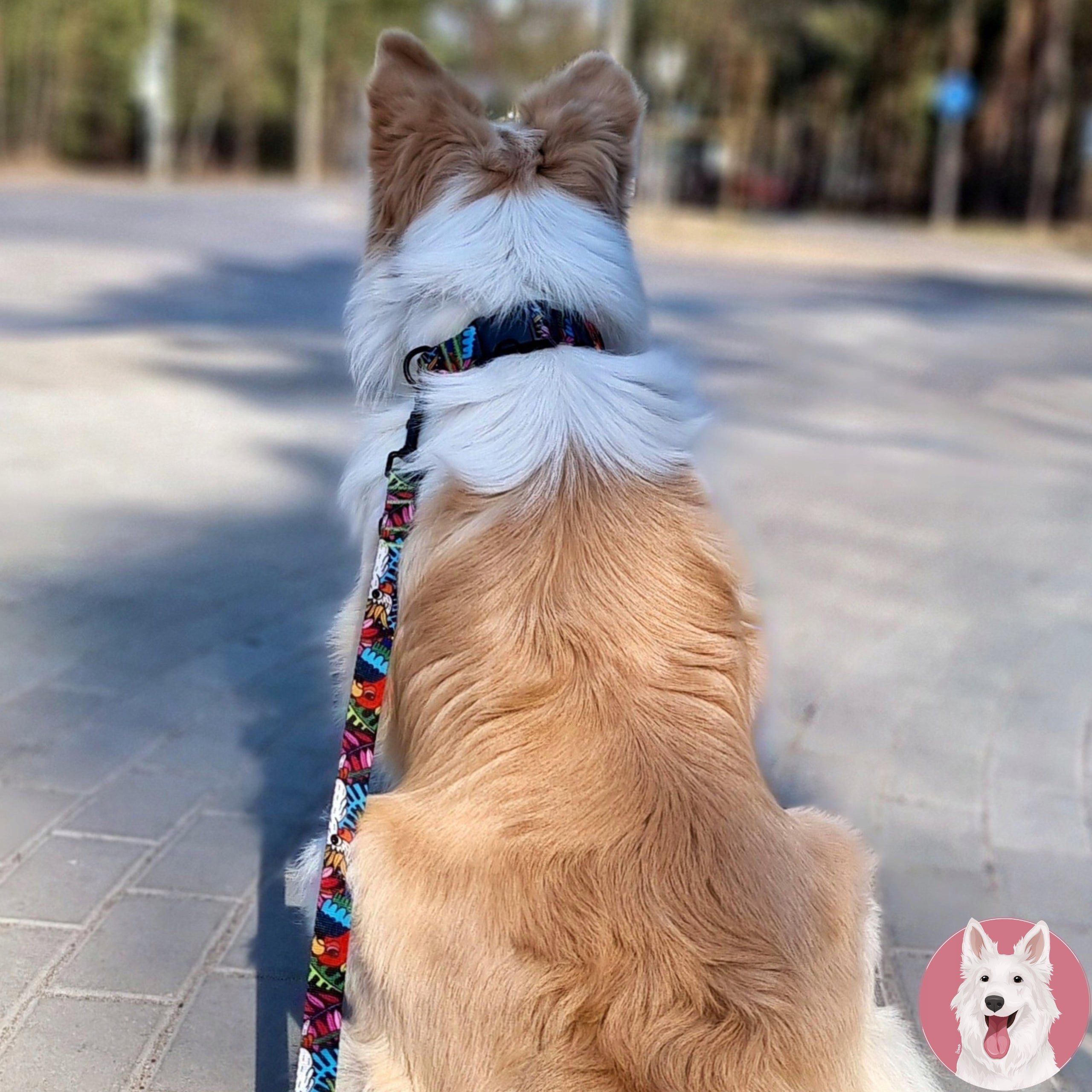 LANYARD ordinary for walks MEDIUM DOG terrier tape 150 cm Ukory pattern JUNGLE Kind traditional
