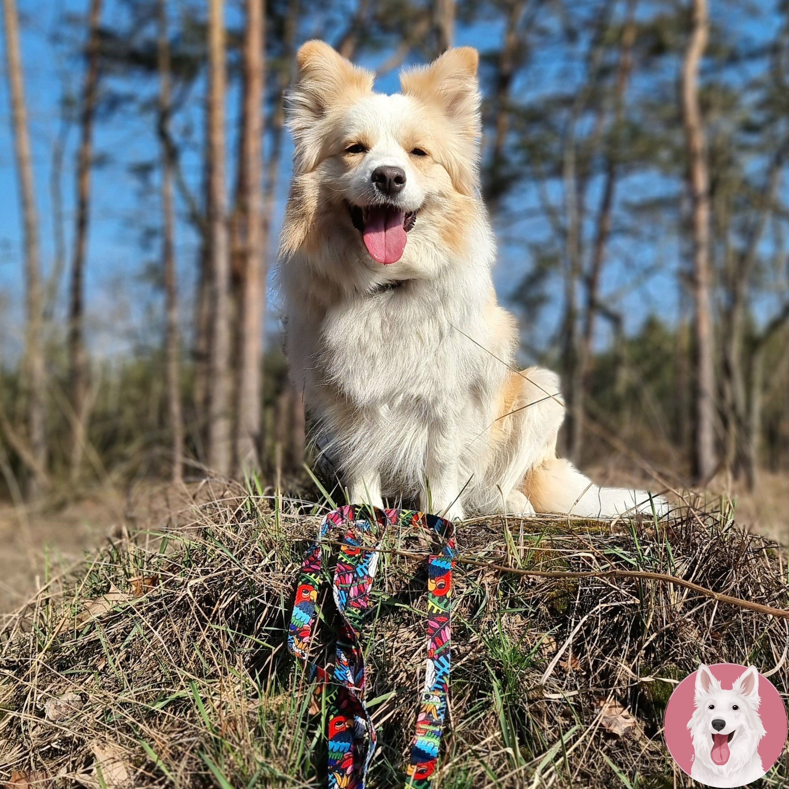 LANYARD ordinary for walks MEDIUM DOG terrier tape 150 cm Ukory pattern JUNGLE Material tape