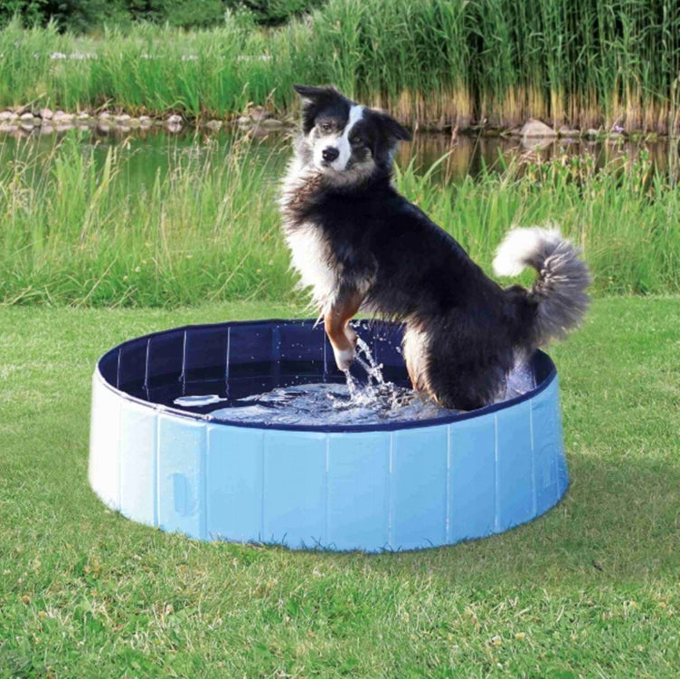LARGE ANIMAL DOG POOL CHILDREN GARDEN 160cm XXXL FOLDING STRONG Kind tension