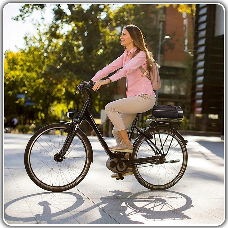 LARGE BIKE RACK BAG THERMAL REFLECTIVE BICYCLE POUCH Manufacturer code hol62