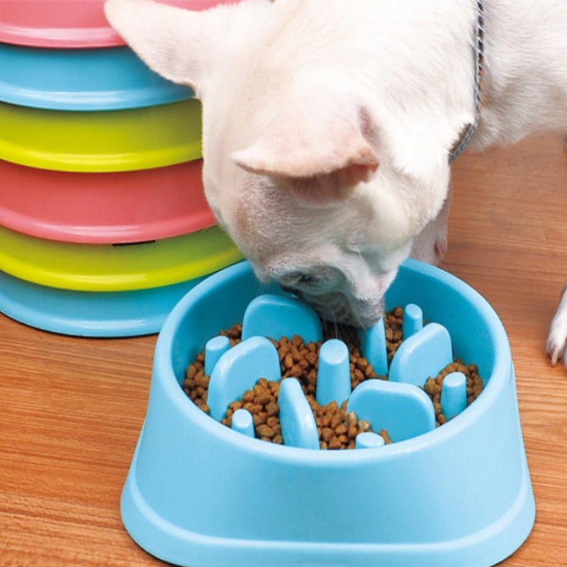 LARGE BOWL SLOWING DOWN CAT DOG FOOD Brand LGJ Group