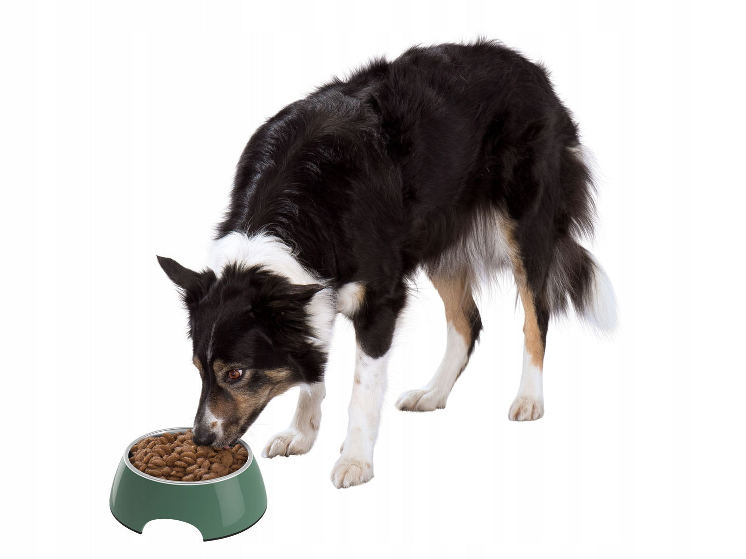 LARGE CAT DOG BOWL STAINLESS STEEL 700ml EAN (GTIN) 4054601093936