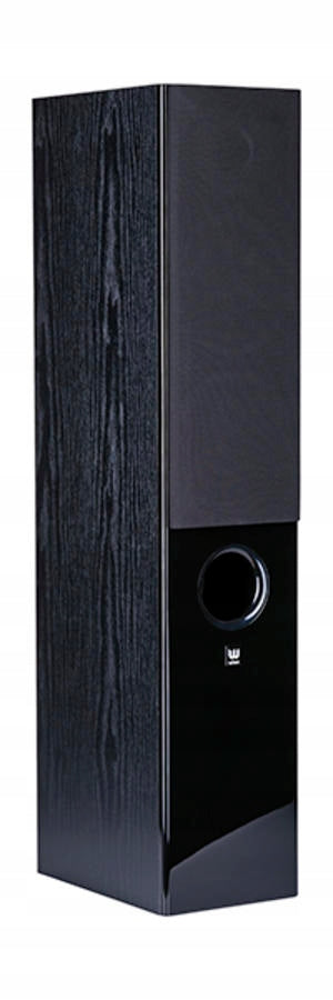 LARGE COLUMNS WILSON RAPTOR 5 black perfection +5m cable ofc QED