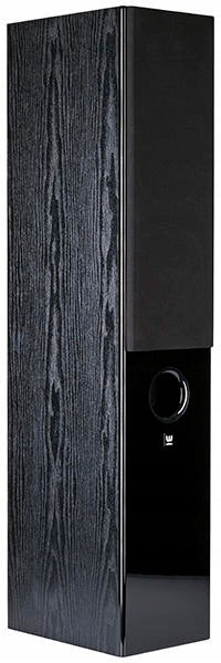 LARGE COLUMNS WILSON RAPTOR 7 black +5m QED cable Manufacturer code WILSON-RAP7-BLK-PA