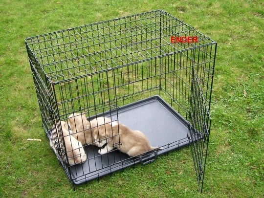 LARGE KENNEL CAGE METAL PLAYPEN Transporter for DOG DOGS 106x71x81 XXL Product width 71 cm