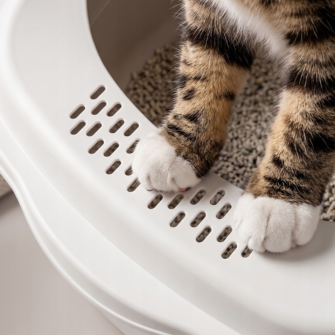 LARGE LITTER BOX CLOSED FOR CAT WITH FILTER LITTER COVERED TOILET EARS SPATULA Brand no brand