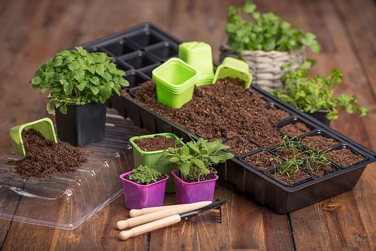 LARGE MULTI-POTS FOR SOWING seedlingS COVER CELL TRAY -60cm Length 60 cm
