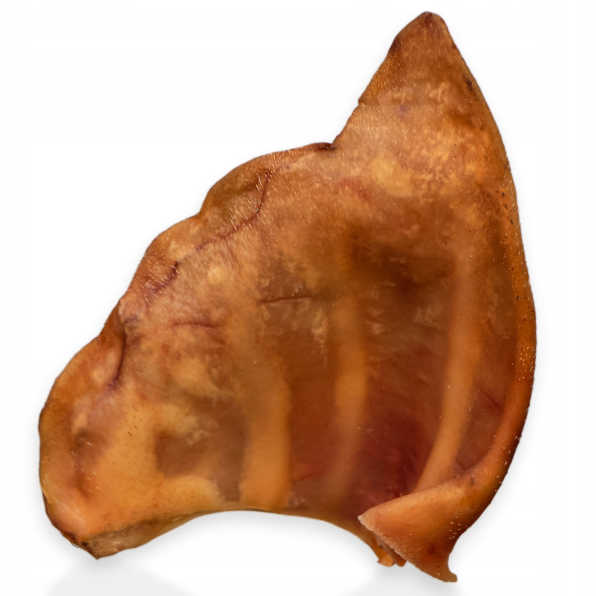 LARGE PORK EAR FOR DOG EAR TEETHER DRIED SMOKED NATURAL 1PCS