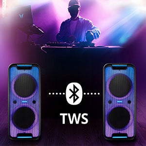 LARGE POWERFUL portable speaker MEDION P61080 2x450W + karaoke microphone AKU 4h Manufacturer code MD44080