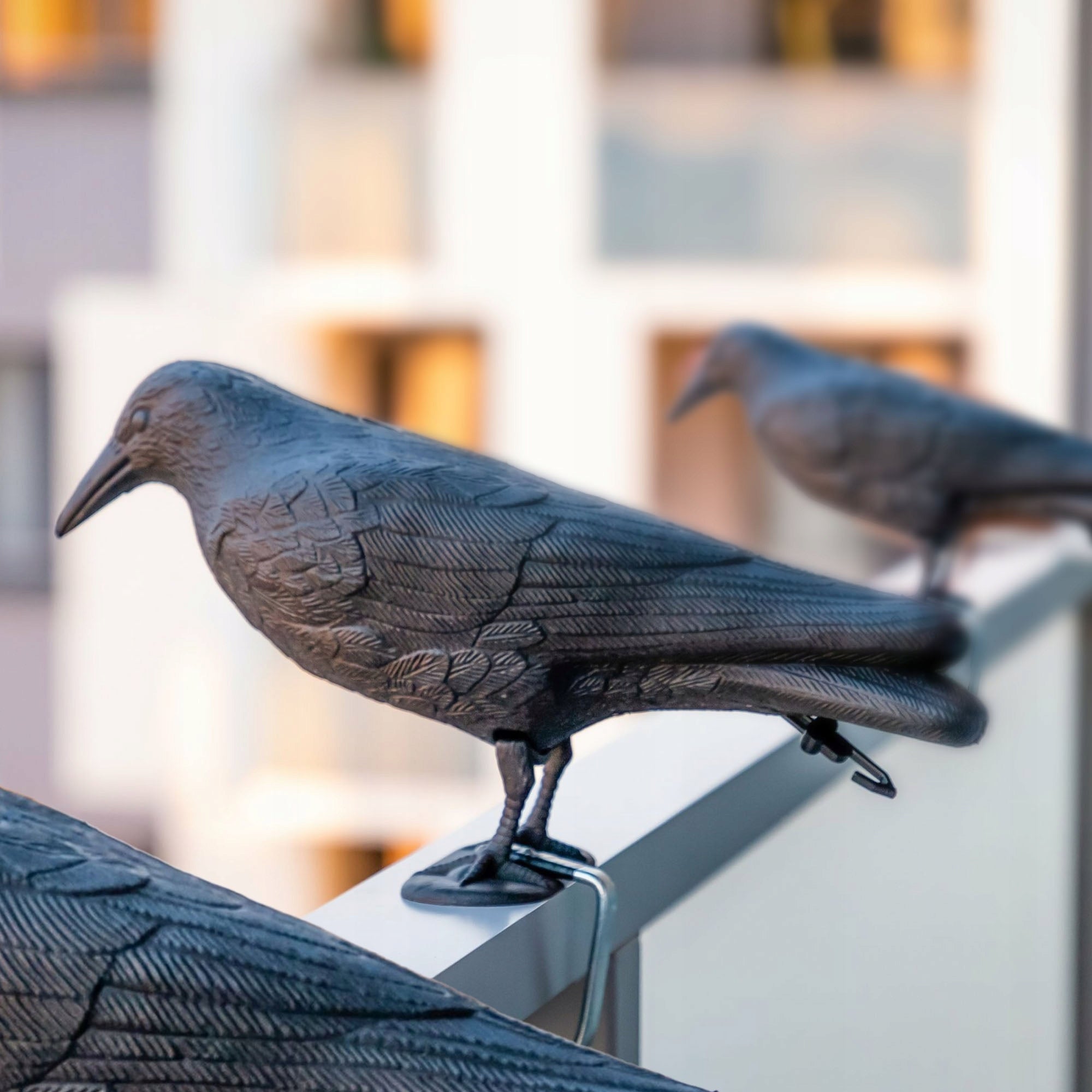 LARGE RAVEN PIGEON BIRD REPELLENT STARLINGS BIRDS FOR BALCONY BLACK 3 PACK EAN (GTIN) 5903699473689