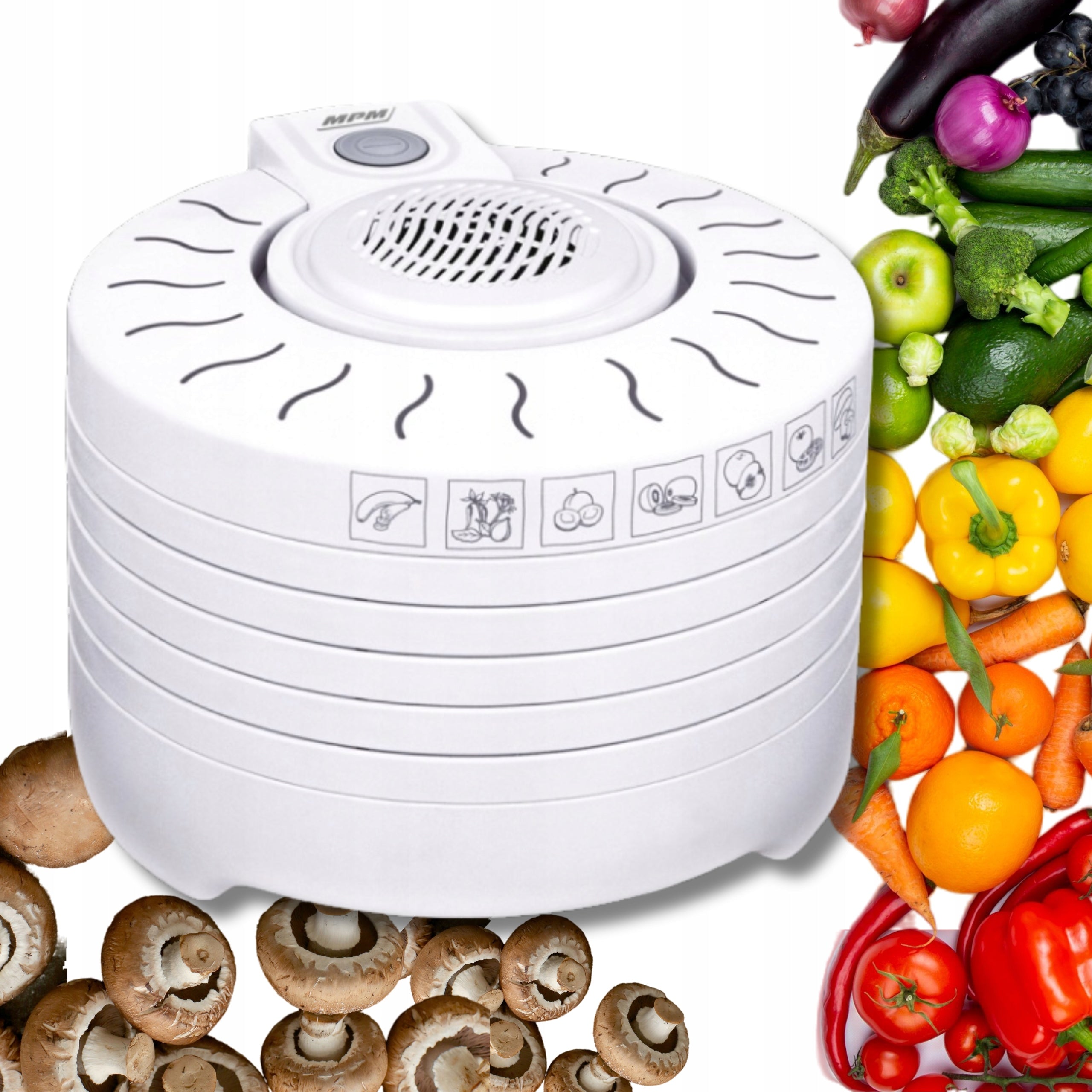 LARGE STRONG FOOD DRYER FOR MUSHROOM FRUIT VEGETABLES HERBS 250W 5-SIT