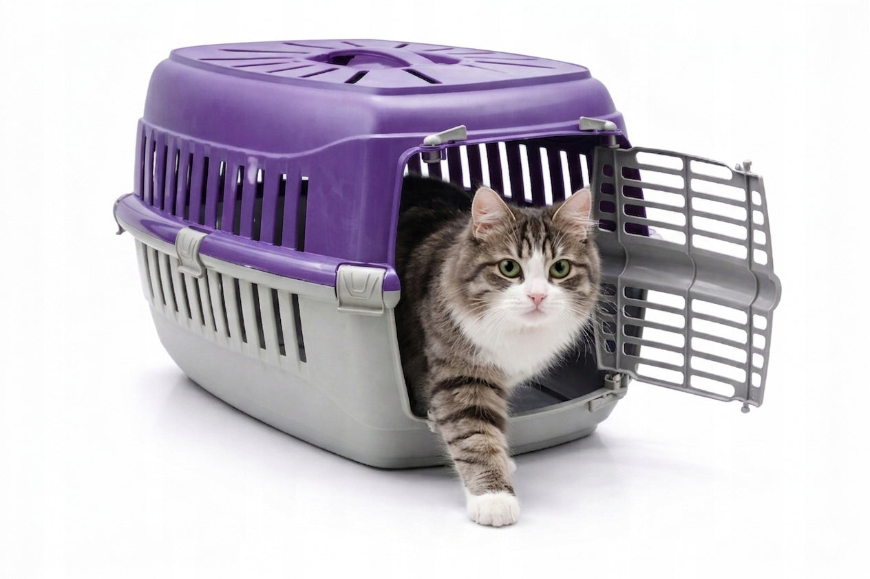 LARGE TRANSPORTER PURPLE solid BOX playpen CAGE for CAT RABBIT DOG Brand FloraZoo