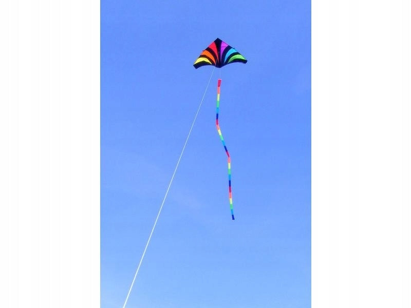 Aitvaras Skydog, 7.3m