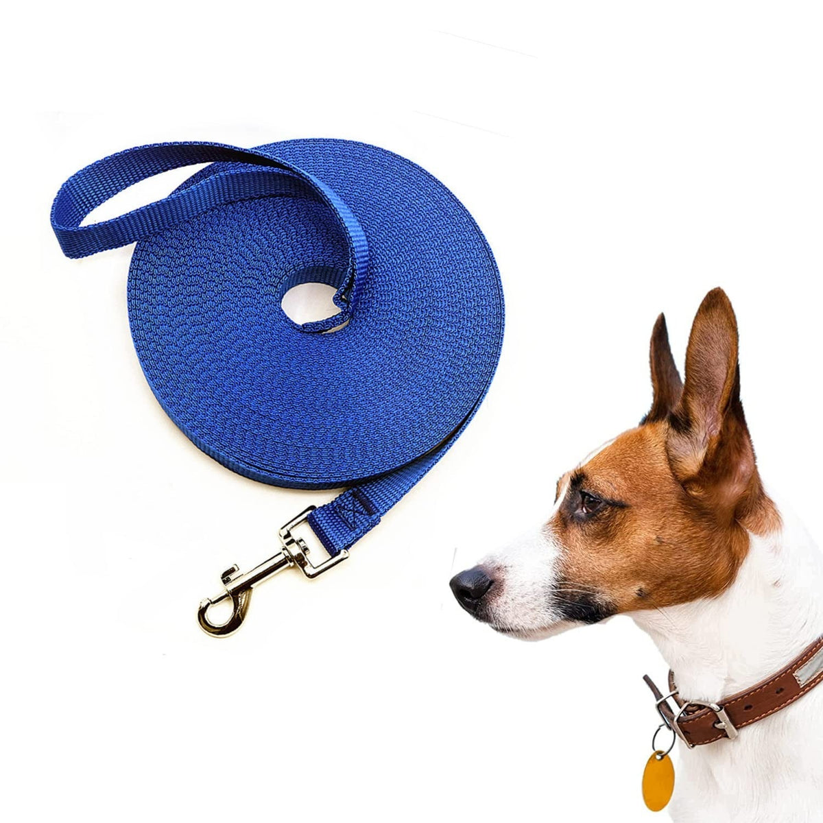 LATRAT DOG LEASH 1 2 30 M LONG LEASH FOR SMALL AND LARGE DOGS