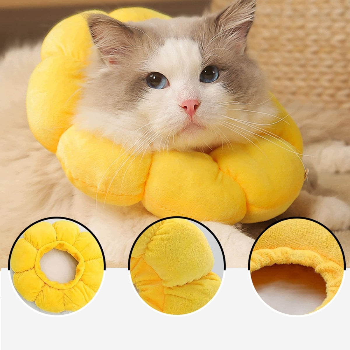 LATRAT Sunflower Collar Adjustable Protective for Cats and Dogs M Manufacturer code EBPP800, SZNW+