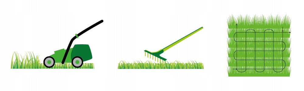 LAWN FERTILIZER 4KG FOR GRASS REGENERATING THICKENING Manufacturer code nawóz do trawy zagęszcza regeneruje trawnik