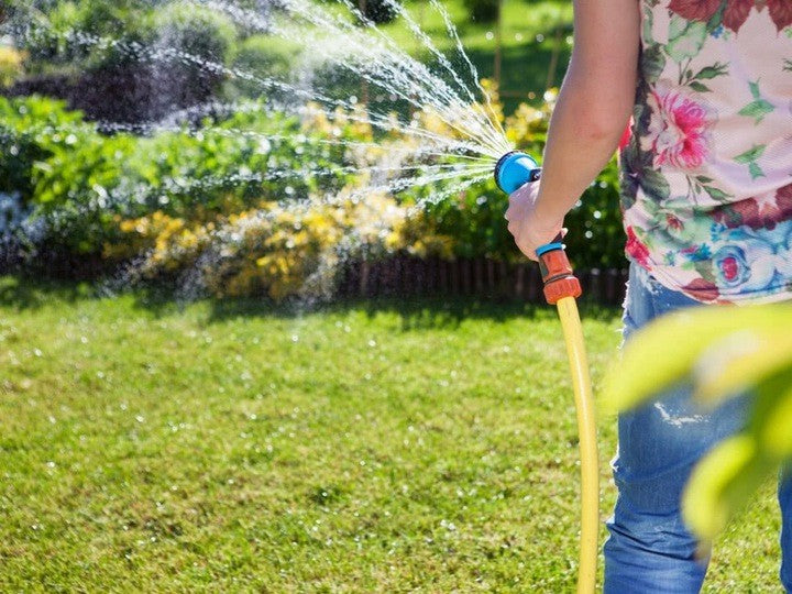 LAWN FERTILIZER WITH MOSS FLOROVIT MASTER LAWN SPORT 25KG Manufacturer code 596201