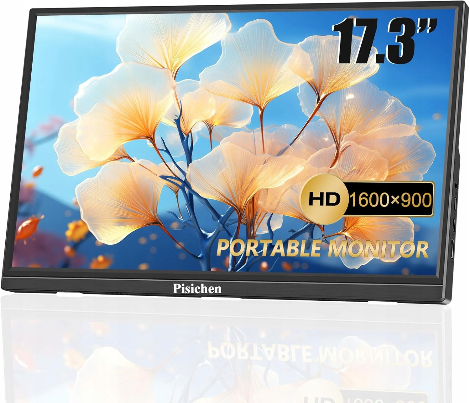 LCD Monitor PISICHEN ADDITIONAL SCREEN 17,3" 1600 x 900 px