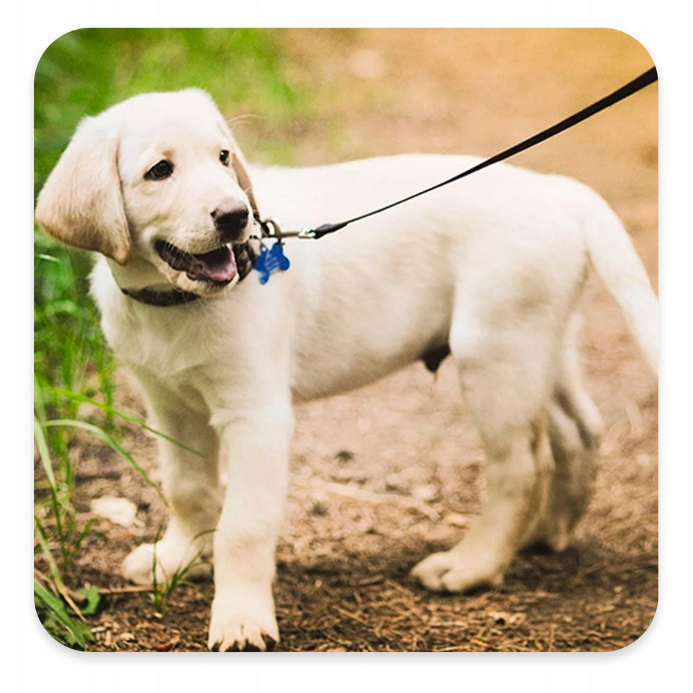 LEASH 10 M 20 MM BLACK Manufacturer code 19911