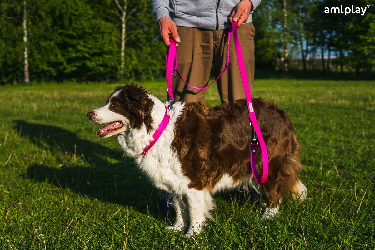 LEASH 8IN1 SAMBA AMIPLAY S GREEN FOR DOG Manufacturer code 5907563301504