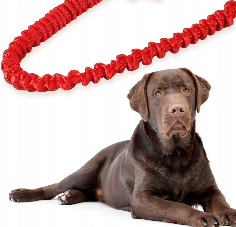 LEASH ELASTIC SHOCK ABSORBER FOR TRAINING LEASH FOR JERKY DOG STRONG Material tape