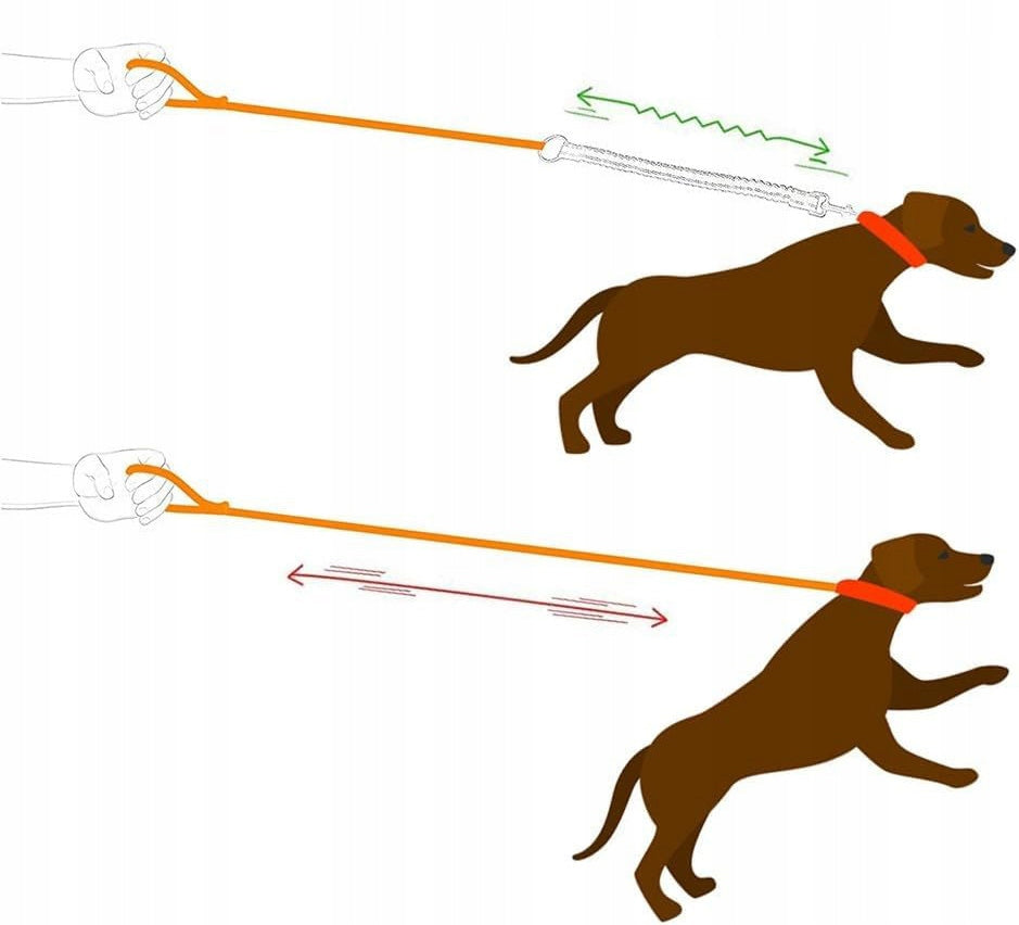 LEASH ELASTIC SHOCK ABSORBER FOR TRAINING LEASH FOR JERKY DOG STRONG Product width 2.5 cm