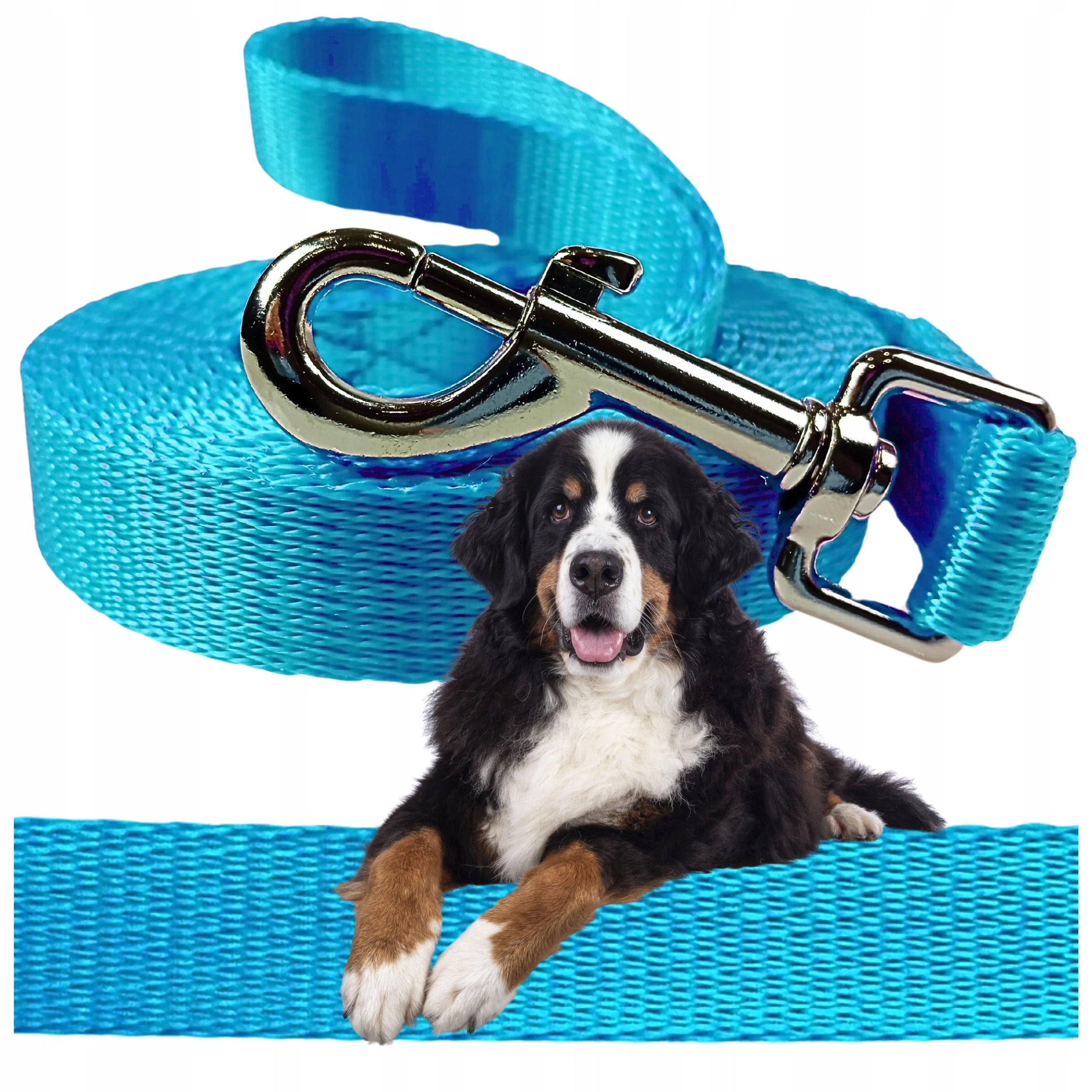 LEASH FOR BIG DOG 7M TRAINING URBAN CORD THICK STRONG BLUE