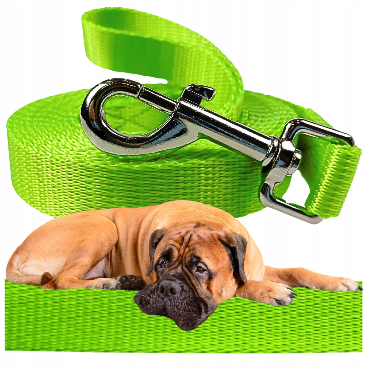 LEASH FOR BIG DOG TRAINING URBAN STRONG CORD 8M GREEN/LIME