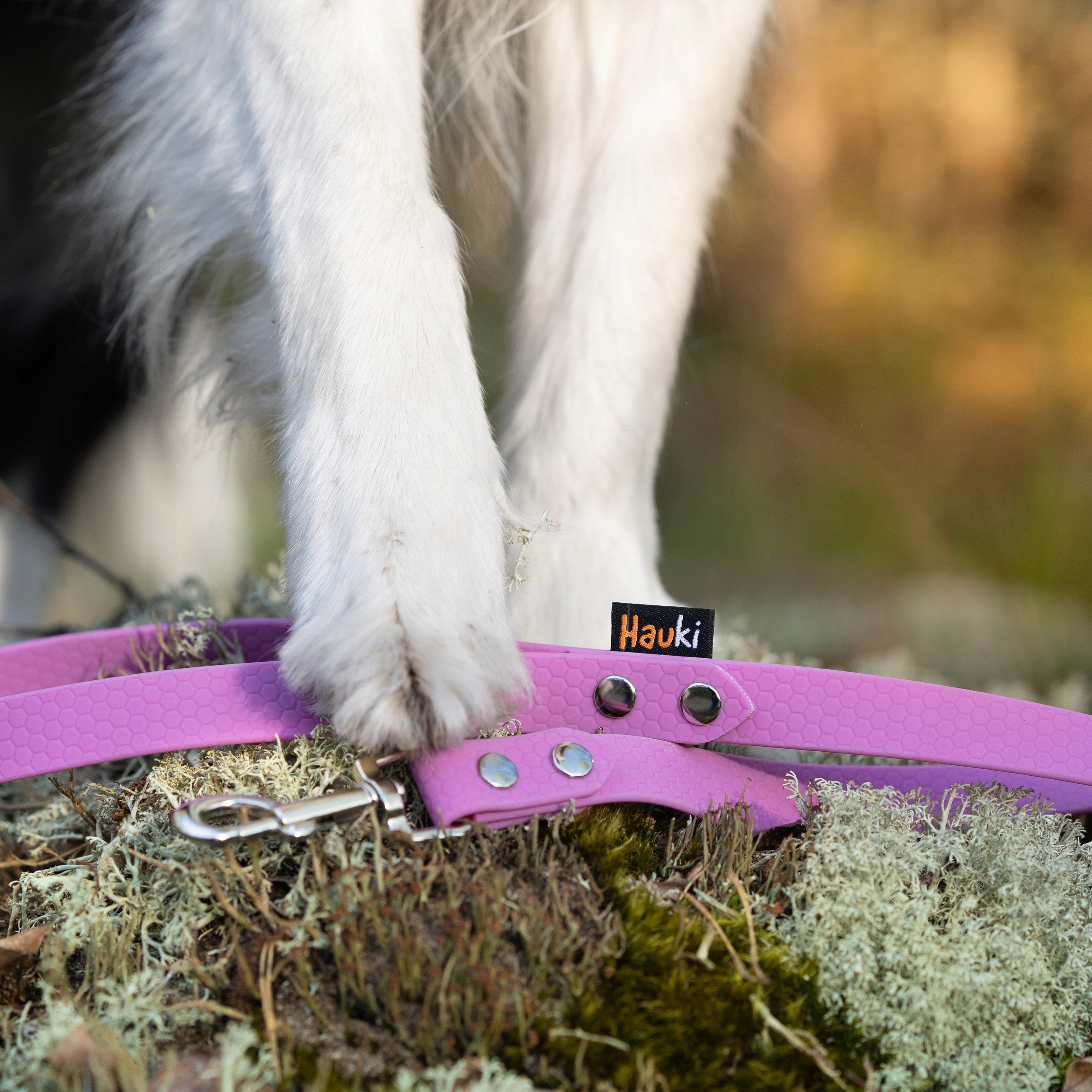 LEASH FOR LARGE 15M. TRAINING CORD. LAVENDER, SILVER ELEMENTS. HEXA Brand Hauki