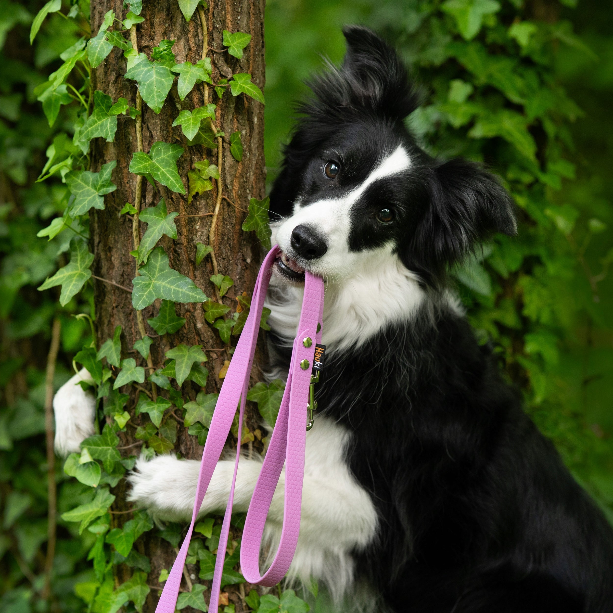 LEASH FOR LARGE 15M. TRAINING CORD. LAVENDER, SILVER ELEMENTS. HEXA Color pink